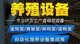 规模化养鸡场带鸡消毒常见误区及方法，郑州远卓农牧