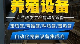 蛋鸡新母鸡病发病原因，蛋鸡的新母鸡病如何治疗？郑州远卓农牧