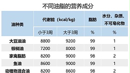 远卓农牧蛋鸡养殖自动化设备：油脂在蛋鸡上的应用及质量控制措施