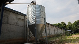 远卓农牧养殖百科：夏季鸡群采食下降的原因及解决办法