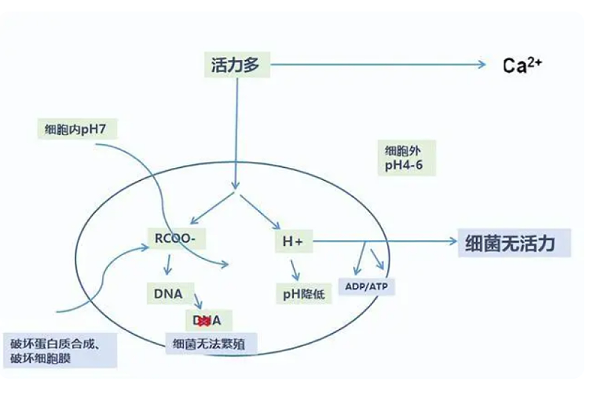 微信截图_20230503165819