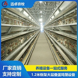 1200大层叠框架式蛋鸡养殖设备