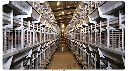 蛋鸡养殖设备厂家针对鸡笼的详解