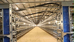 农业农村部答复关于将蛋肉鸡自动化养殖设备纳入农机购置补贴的建议