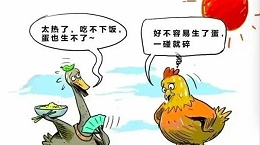 为啥夏季蛋鸡腹泻过料等肠道疾病反复不断？一组简图带您看明白